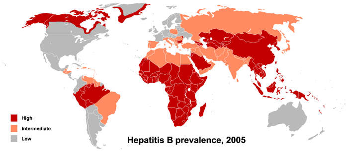 Prevalence of hepatitis B virus as of 2005