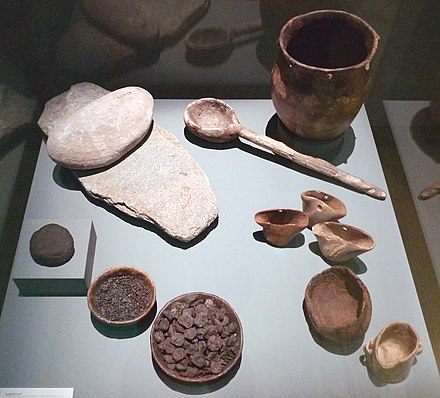 Food and cooking items retrieved at a European Neolithic site: millstones, charred bread, grains and small apples, a clay cooking pot, and containers made of antlers and wood