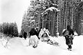 Battle of the bulge - American troops drag a heavily loaded ammunition sled through the snow, as they move for an attack on Herresbach, Belgium. 1/28/45