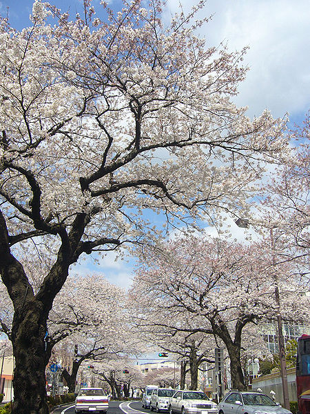 Hitachi, Japan