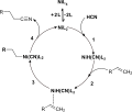 Vignette pour Hydrocyanation