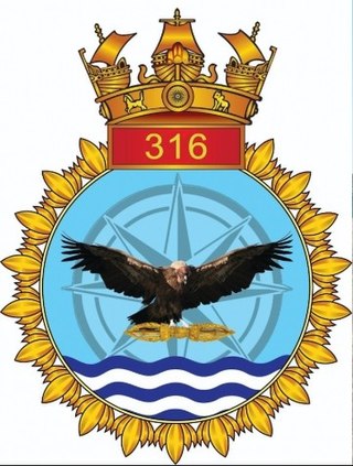<span class="mw-page-title-main">INAS 316</span> Military unit