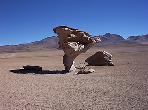 乾旱地區的蕈狀岩，位於玻利維亞烏尤尼鹽沼