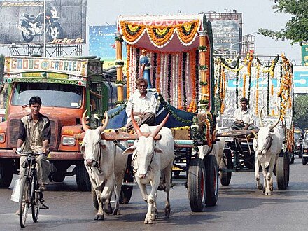 Draft zebu pulling a cart in Mumbai, India