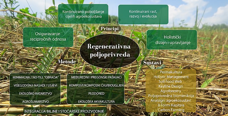 File:Infografika.jpg