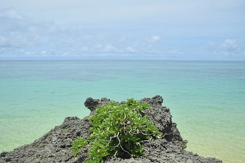 File:Ishigaki's emerald green (52117330624).jpg