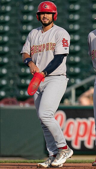 <span class="mw-page-title-main">Iván Herrera</span> Panamanian baseball player (born 2000)