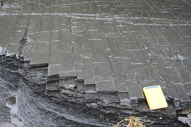 Utica Shale, New York State (Photo by Michael C. Rygel, from Wikimedia Commons: https://commons.wikimedia.org/wiki/File:Joints_1.jpg)