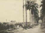 Miniatuur voor Bestand:KITLV - 90994 - Plantation Alkmaar in Commewijne, Surinam - 1885.tif