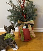 Kitten with Christmas decoration.jpg
