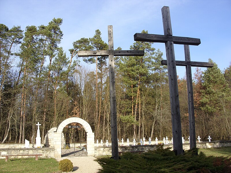 File:Krzyże i cmentarz polskich ofiar masakry niemieckiej w Sochach 1 czerwca 1943.jpg