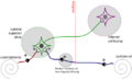 תמונה ממוזערת לגרסה מ־22:54, 16 במרץ 2009