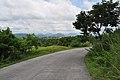 Local road in Tarlac - panoramio (6).jpg