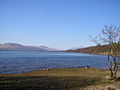 Loch Lomond - Flickr - Graham Grinner Lewis.jpg