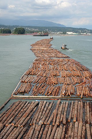 <span class="mw-page-title-main">Canada–United States softwood lumber dispute</span> Trade dispute between Canada and the United States