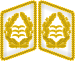 Pattes de col Luftwaffe General der Flieger 3D.svg