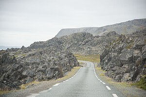 Outcrops of the Båsnæring Formation on Fv 341.