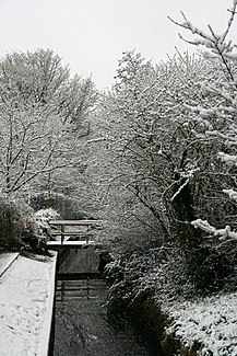 The Maasnielderbeek in winter.