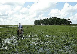 Man made island in llanos de moxos.jpg