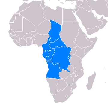 États unis de l'Afrique latine