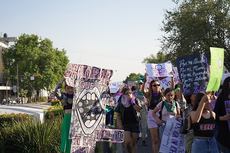 File:Marcha 8M 2023 GDL 70.jpg