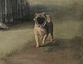 Marchioness of Pontejos por Goya (detail of dog).jpg