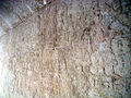 Reliefs du mastaba de Néferbaouptah
