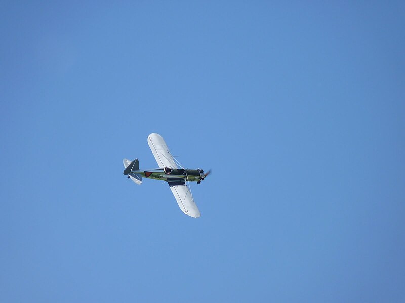 File:Meeting de la Ferté-Alais 2010 - 069.JPG