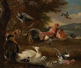 Chickens and Ducks (ca. 1660-90), oil on canvas, 115 x 136 cm., Mauritshuis