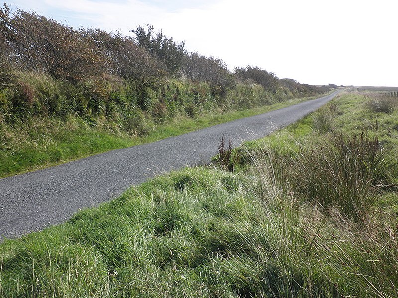 File:Minor road above Little Melcombe - geograph.org.uk - 3672220.jpg