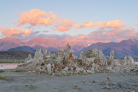 Tufa in Mono Lake