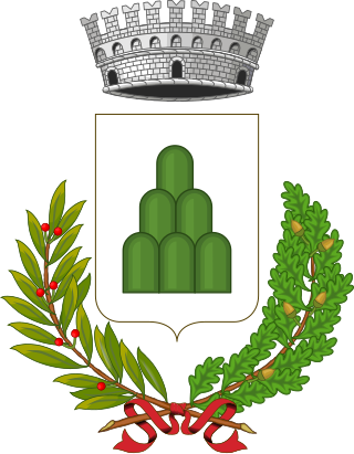 Coat of Arms