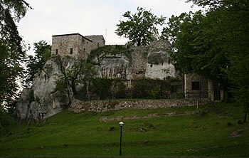 Bąkowiec slott