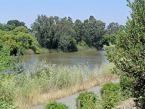 Napa River Napa en Californie.jpg