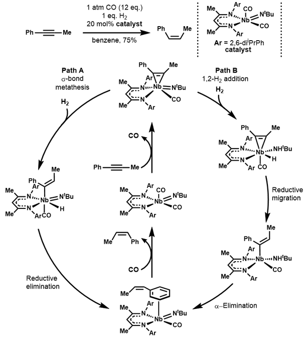 Nb(III) catalyzed alkyne semihydrogenation