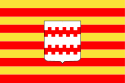 Vlag van Neerpelt
