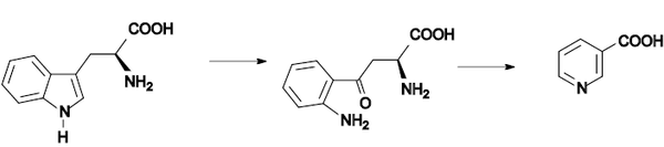 Vitamina B3