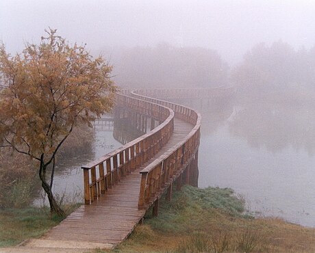 Parque Nacional das Tablas de Daimiel