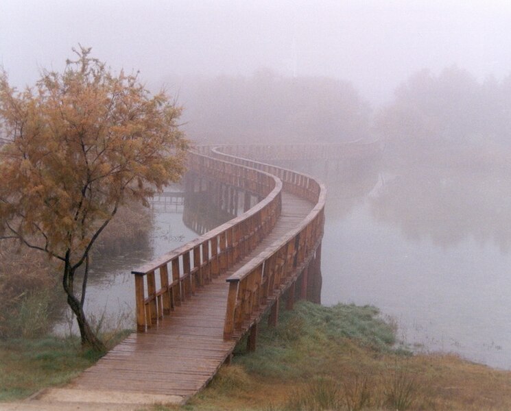 File:Niebla en las tablas.jpg