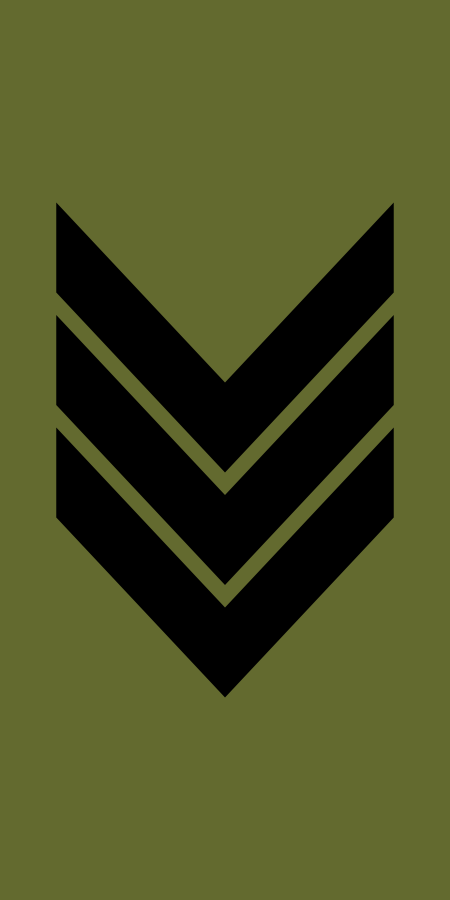 ไฟล์:Norway-Army-OR-5a.svg