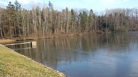 Čeština: Rybník Nový (2,04 ha) pokrytý slabým ledem v k.ú. Hlincová Hora, okres České Budějovice. English: Nový pond covered with weak ice in Hlincová Hora, České Budějovice District, South Bohemian Region, Czechia.