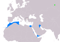 Distribución de Numenius tenuirostris