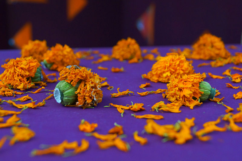 File:Ofrenda a la muerte.JPG