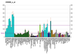 PBB GE CPSF4 206688 s at fs.png