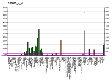 PBB GE SPP1 209875 s at fs.png