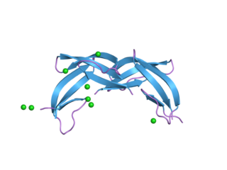 DEFA6 Protein-coding gene in the species Homo sapiens