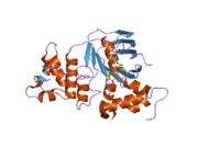 PDB 2bbo EBI.png