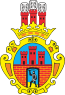 Escudo de armas de Radomsko