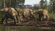 The Alaskan Pachyrhinosaurus species P. perotorum Pachyrhinosaurus fight.png