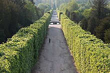 The full French formal style; an alley or walk in a bosquet in the Gardens of Versailles. Park of Versailles, France - April 2011 (5).jpg